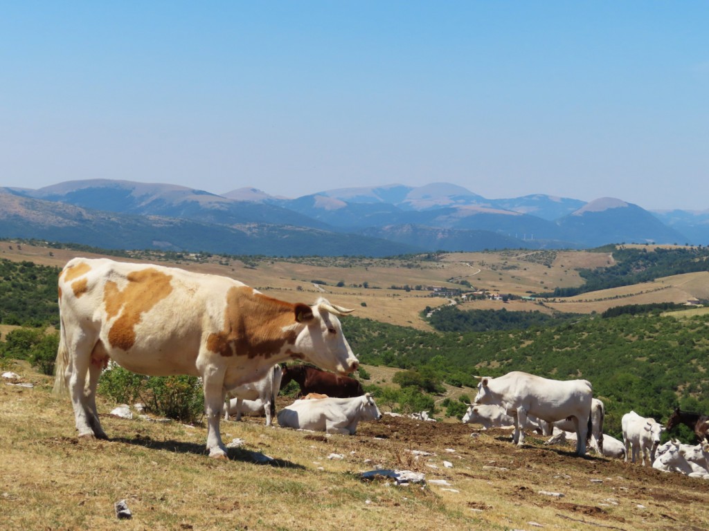 sibillini - val di panico (24)
