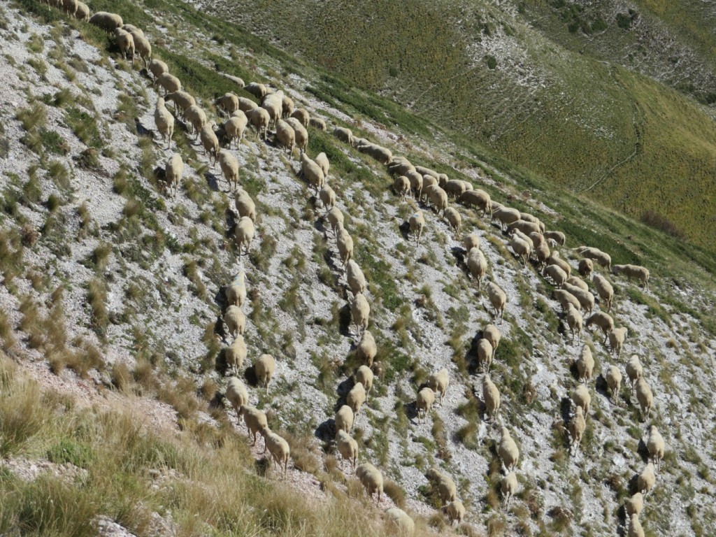 sibillini - val di panico (33)