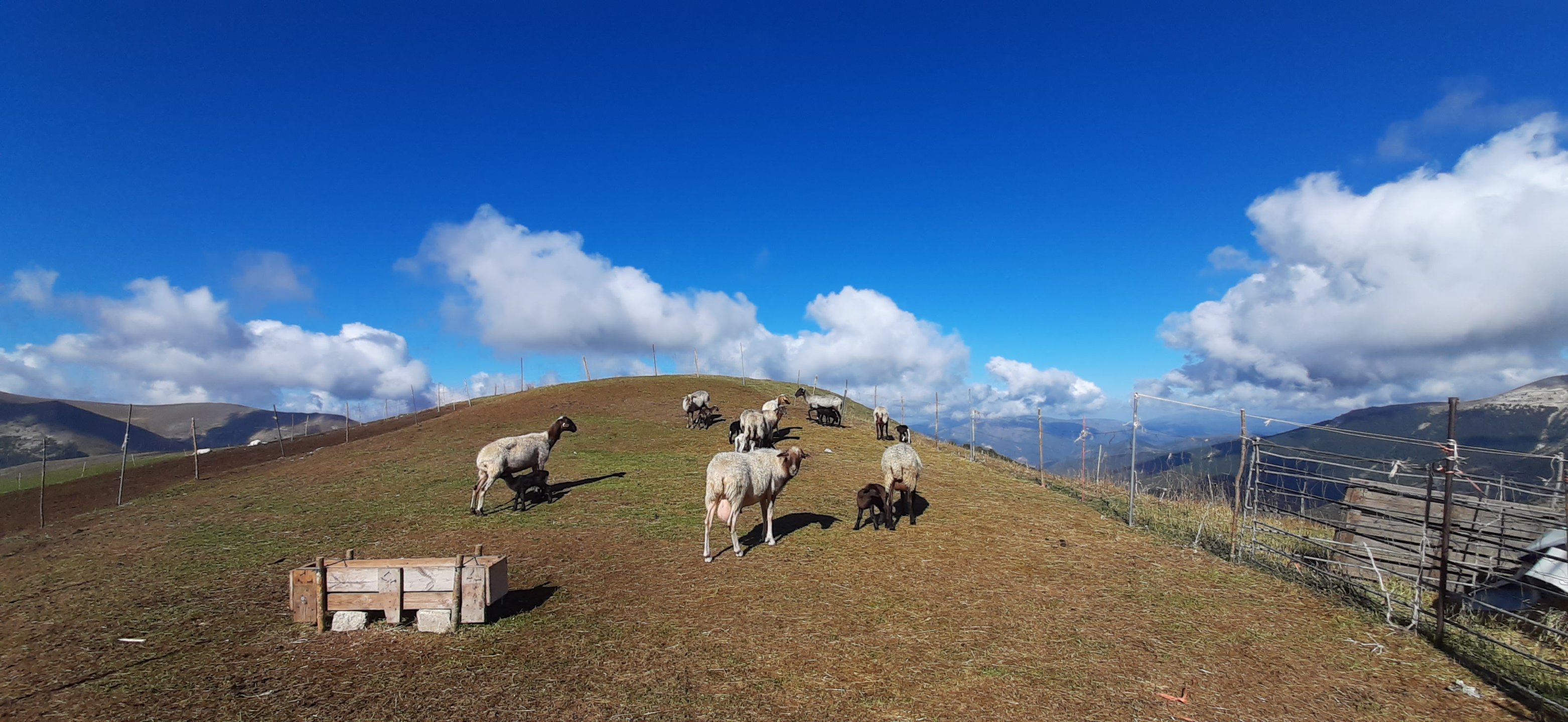 via imperiale 11 09 2022 (1)