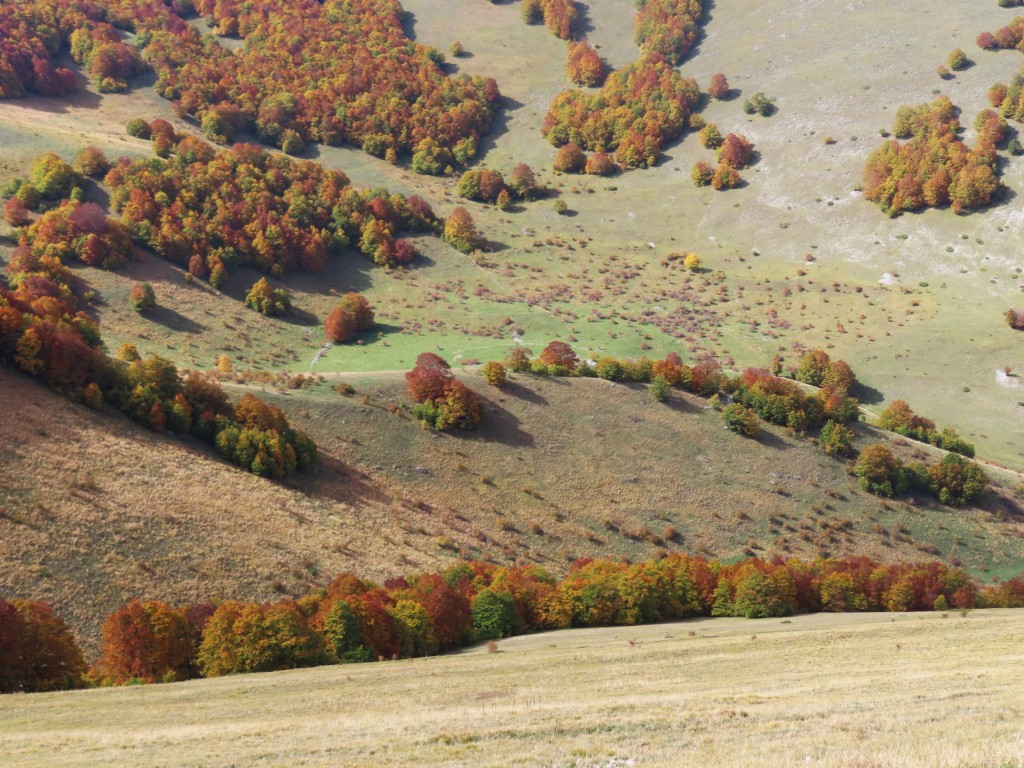 FORCA DI GIUDA 09 10 2022 (110)