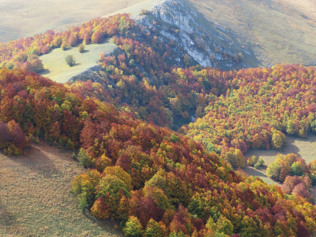 FORCA DI GIUDA 09 10 2022 (112)