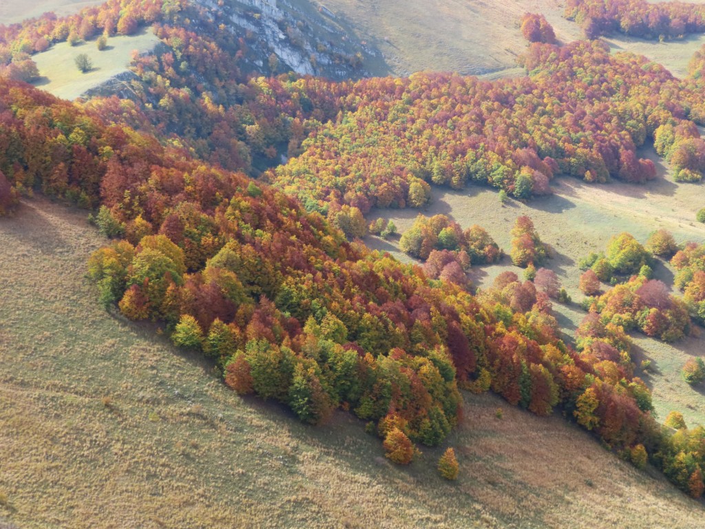 FORCA DI GIUDA 09 10 2022 (113)