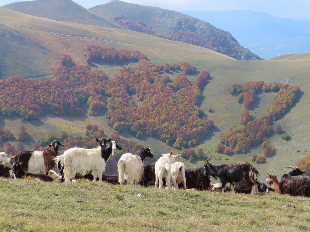 FORCA DI GIUDA 09 10 2022 (127)