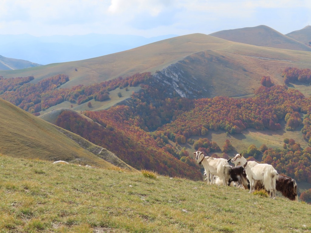 FORCA DI GIUDA 09 10 2022 (128)