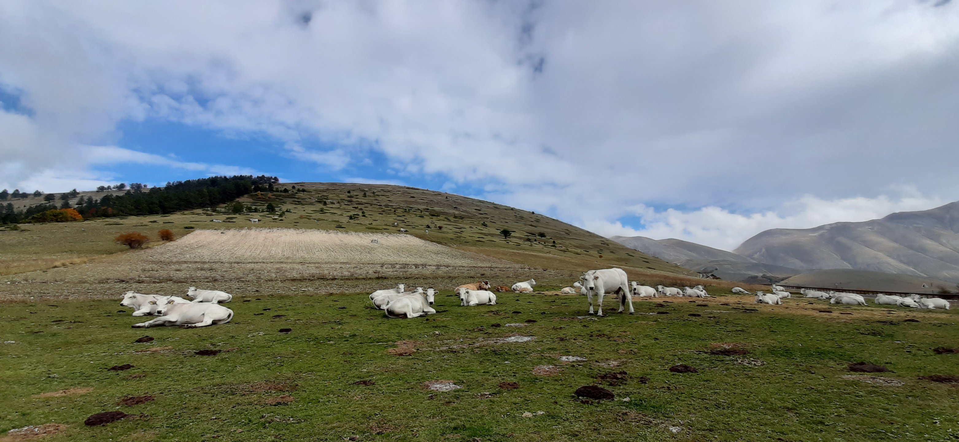 FORCA DI GIUDA 09 10 2022 (18)