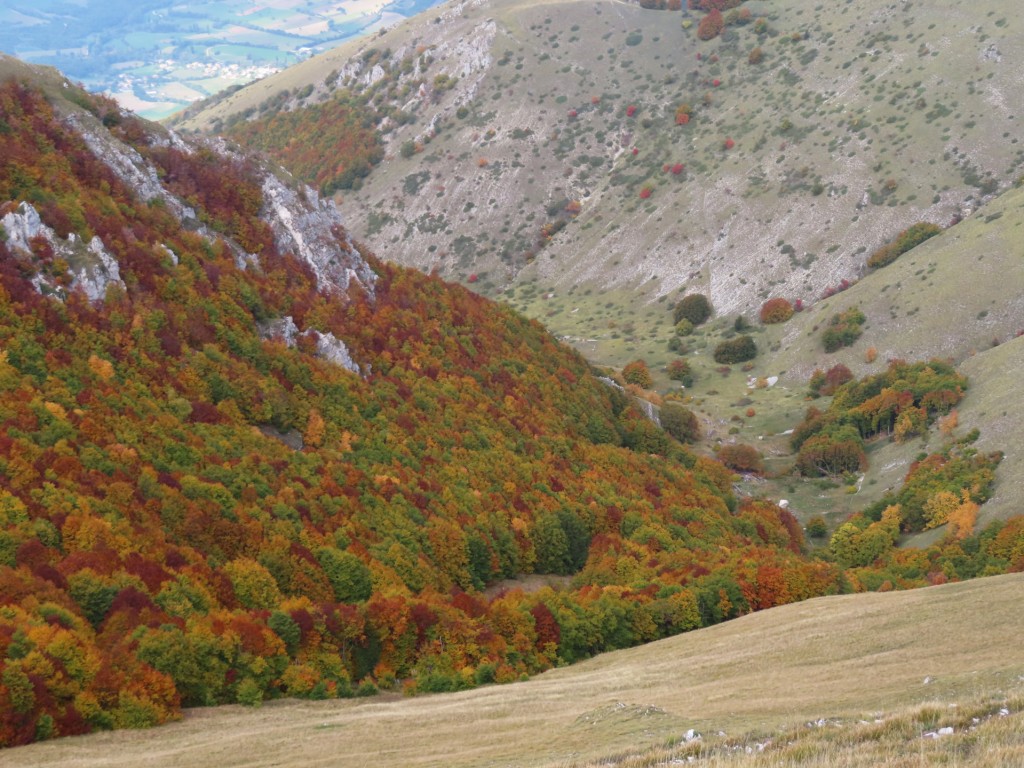 FORCA DI GIUDA 09 10 2022 (80)