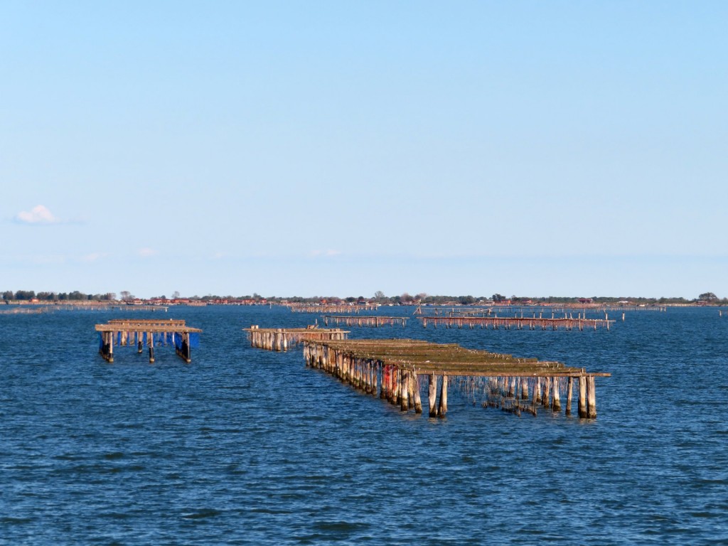 ROTTA DEL SALE (262)