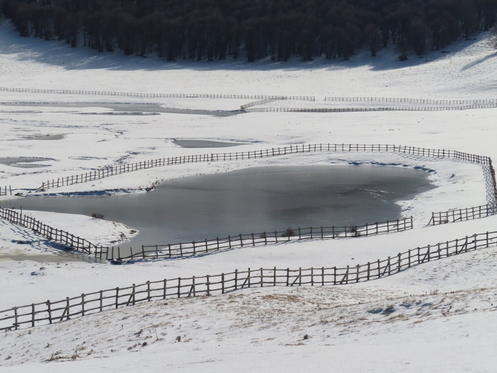 CASTELLUCCIO 14 01 2023 (102)