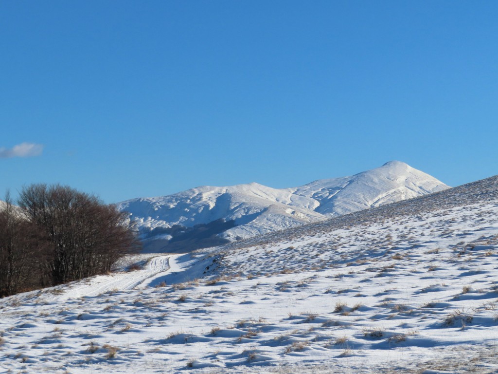 CASTELLUCCIO 14 01 2023 (137)