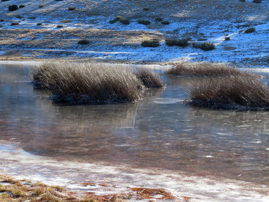 CASTELLUCCIO 14 01 2023 (51)