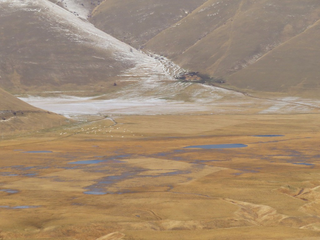 CASTELLUCCIO 14 01 2023 (61)