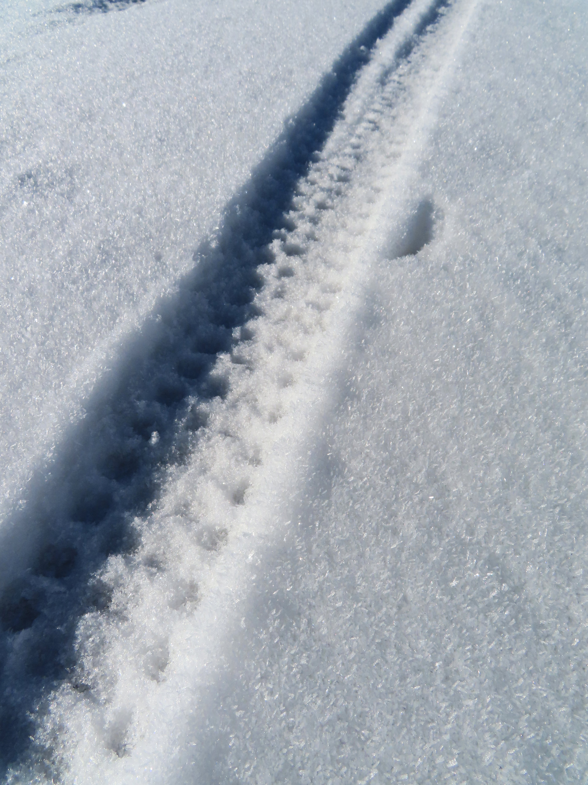 CASTELLUCCIO 14 01 2023 (82)