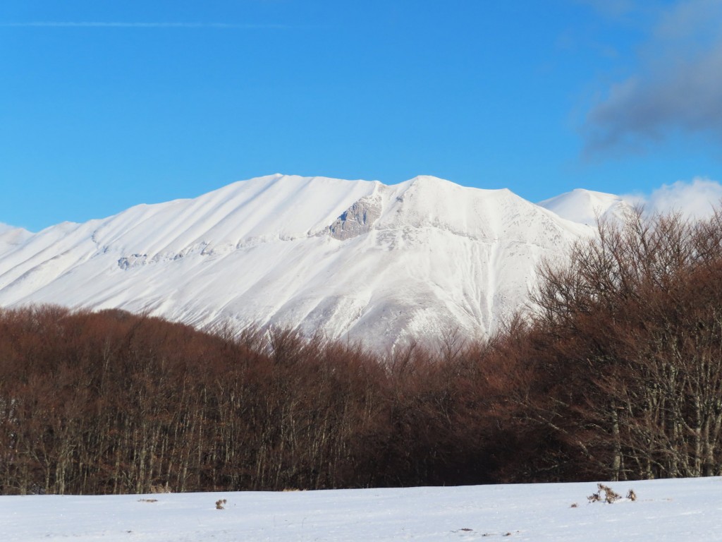 CASTELLUCCIO 14 01 2023 (92)