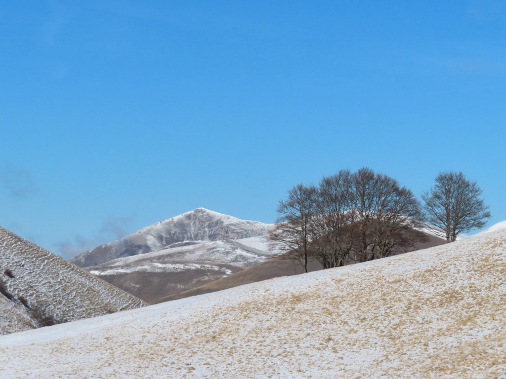 CASTELLUCCIO 14 01 2023 (93)