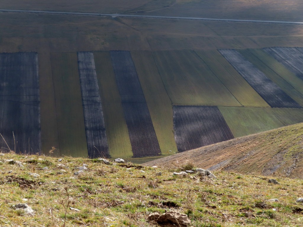 CASTELLUCCIO 29 12 2022 (1)