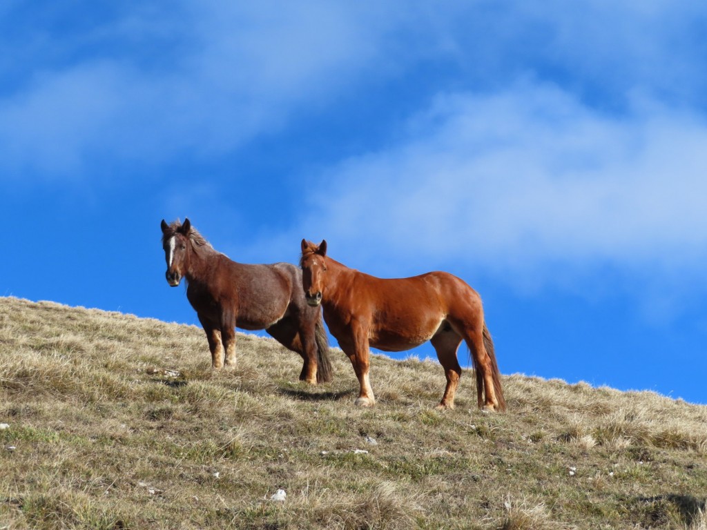 CASTELLUCCIO 29 12 2022 (45)