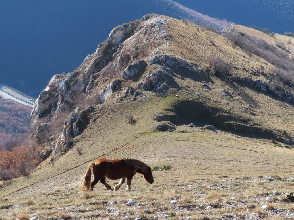 CASTELLUCCIO 29 12 2022 (48)