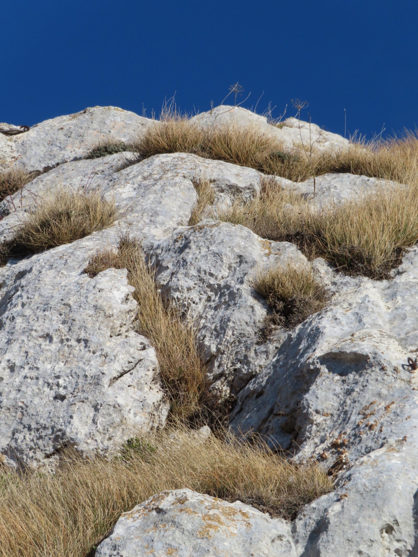 CASTELLUCCIO 29 12 2022 (71)