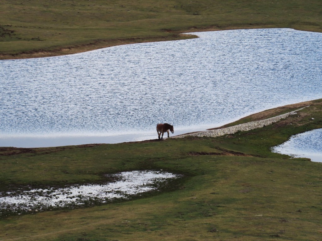 CASTELLUCCIO 29 12 2022 (77)