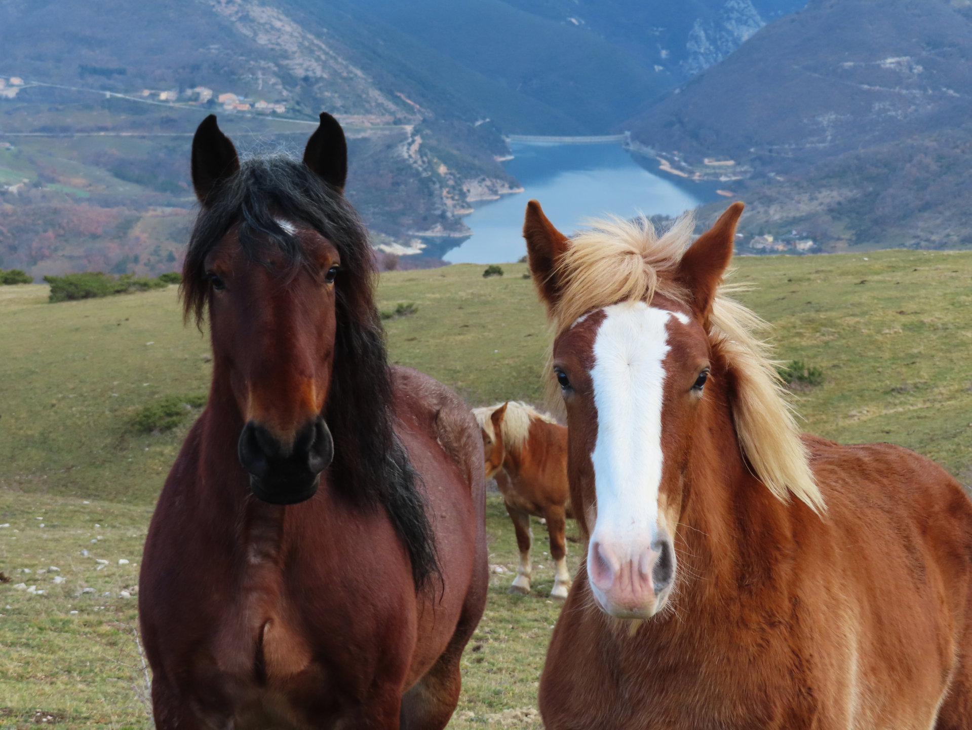 MONTE VAL FIBBIA 07 01 2022 (156)