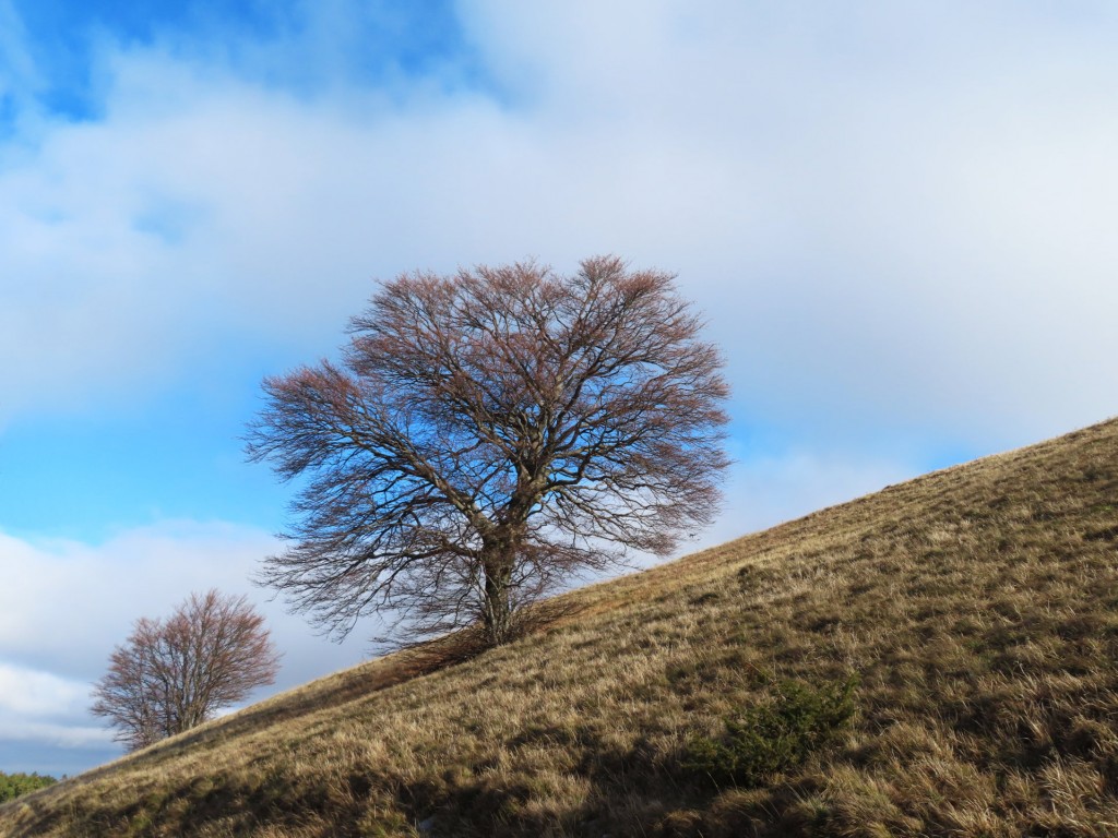 MONTE VAL FIBBIA 07 01 2022 (342)