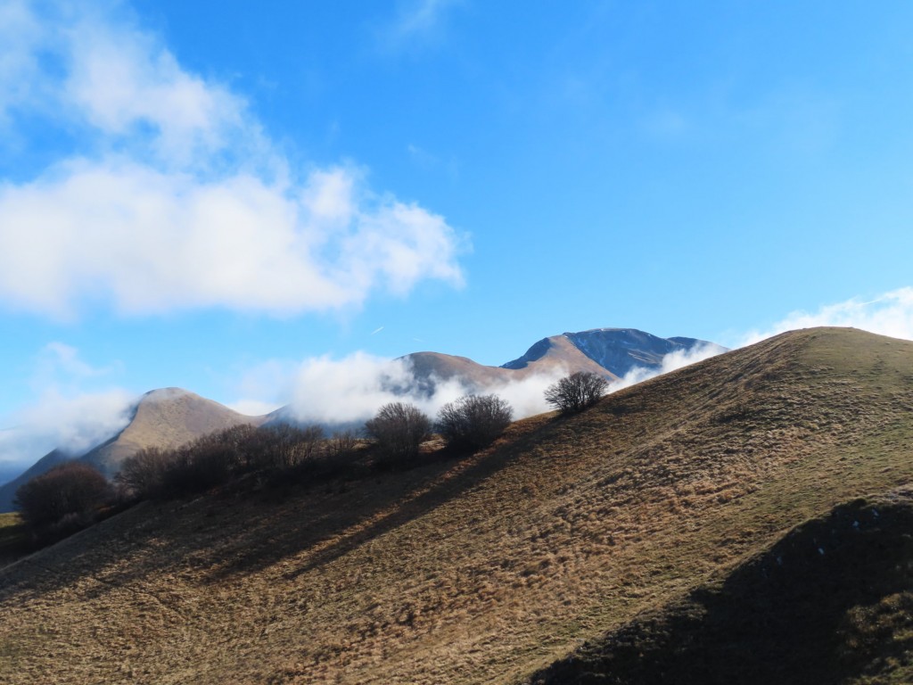 MONTE VAL FIBBIA 07 01 2022 (527)