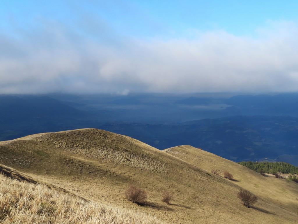 MONTE VAL FIBBIA 07 01 2022 (643)