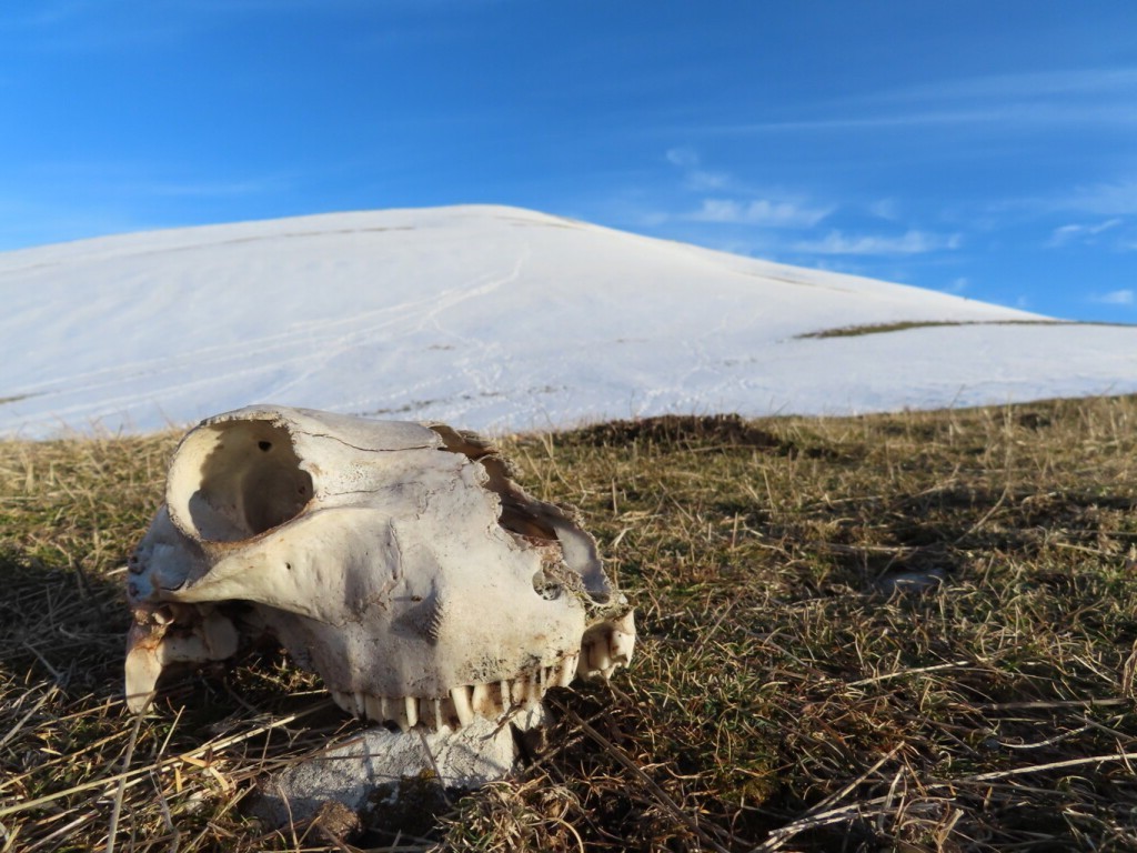 sibillini-06-02-2021-19-1024x768