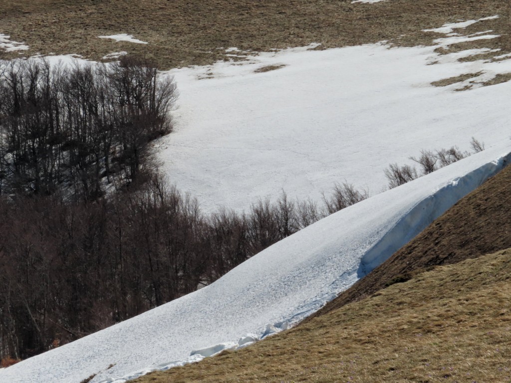 RAGNOLO 25 03 2023 (140)