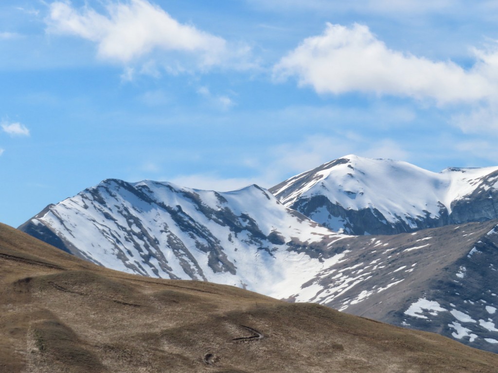 RAGNOLO 25 03 2023 (160)