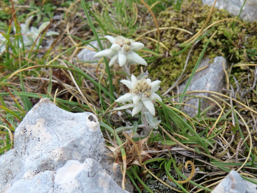 ALTA VIA DEI SIBILLINI 11 07 2023 (115)