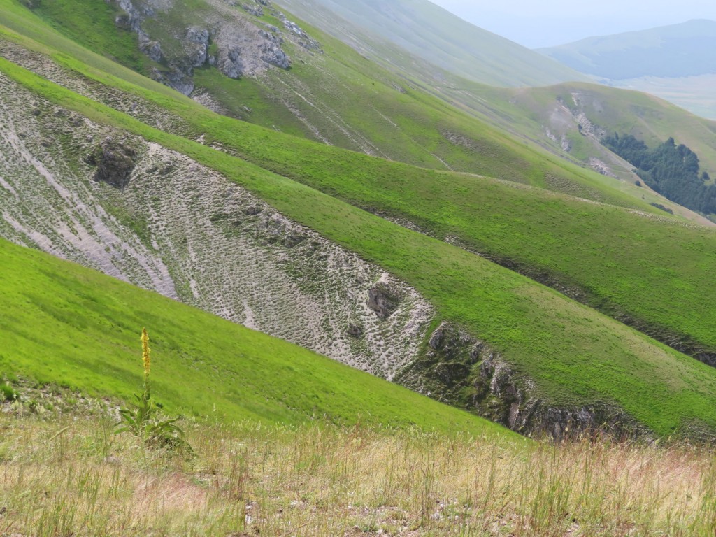 ALTA VIA DEI SIBILLINI 11 07 2023 (23)