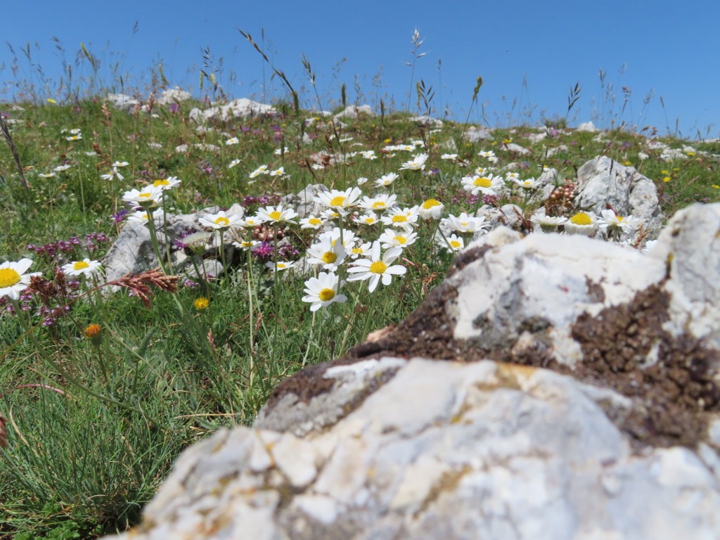 ALTA VIA DEI SIBILLINI 11 07 2023 (49)