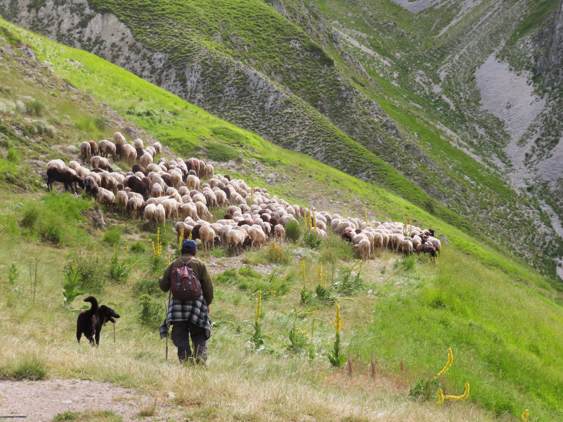 ALTA VIA DEI SIBILLINI 11 07 2023 (9)