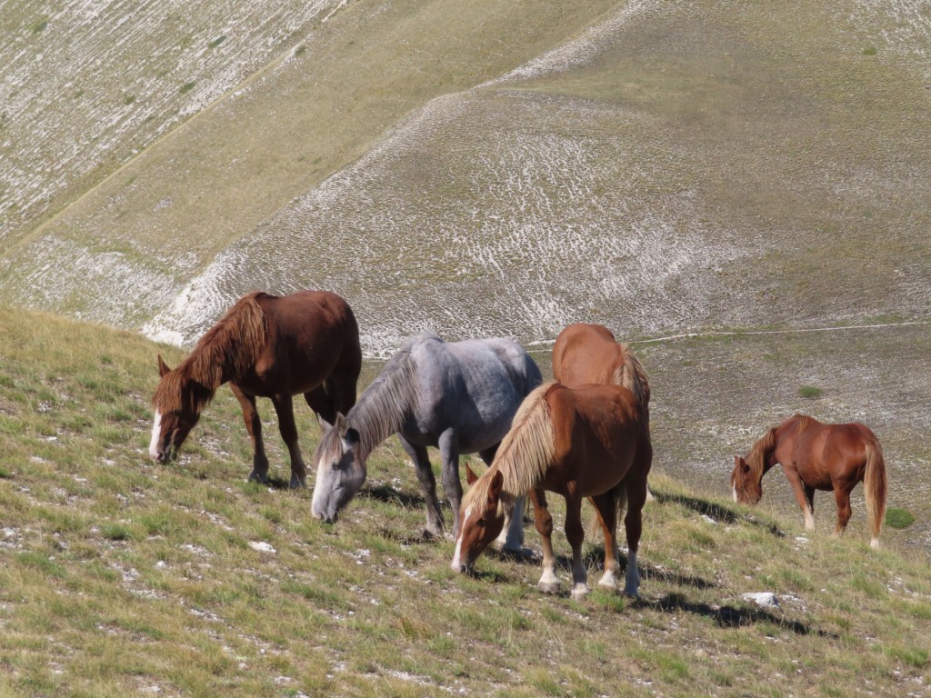 ALTA VIA DEI SIBILLINI 30 09 2023 (513)