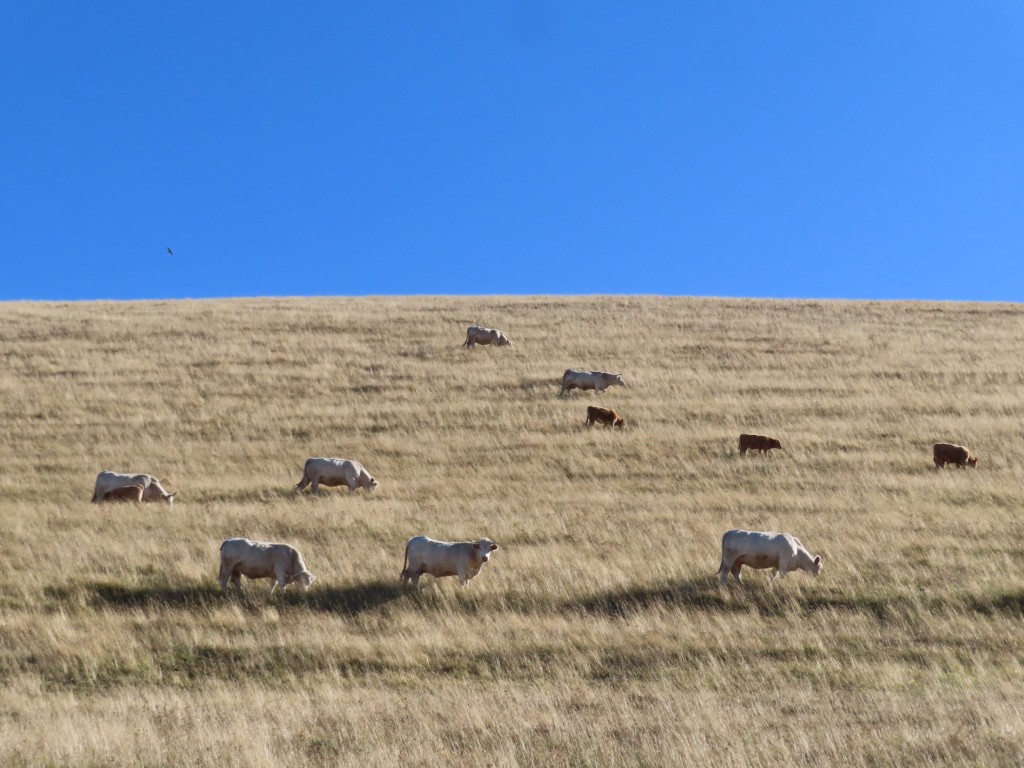 MONTE VAL FIBBIA 14 10 2023 (15)