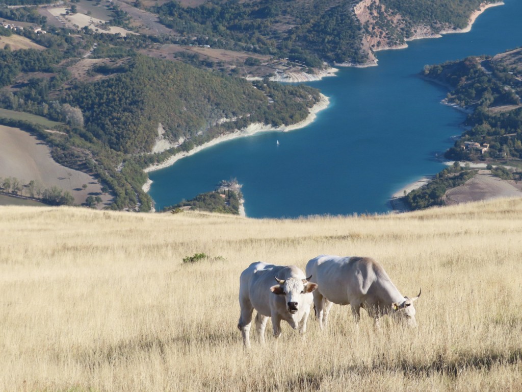 MONTE VAL FIBBIA 14 10 2023 (5)