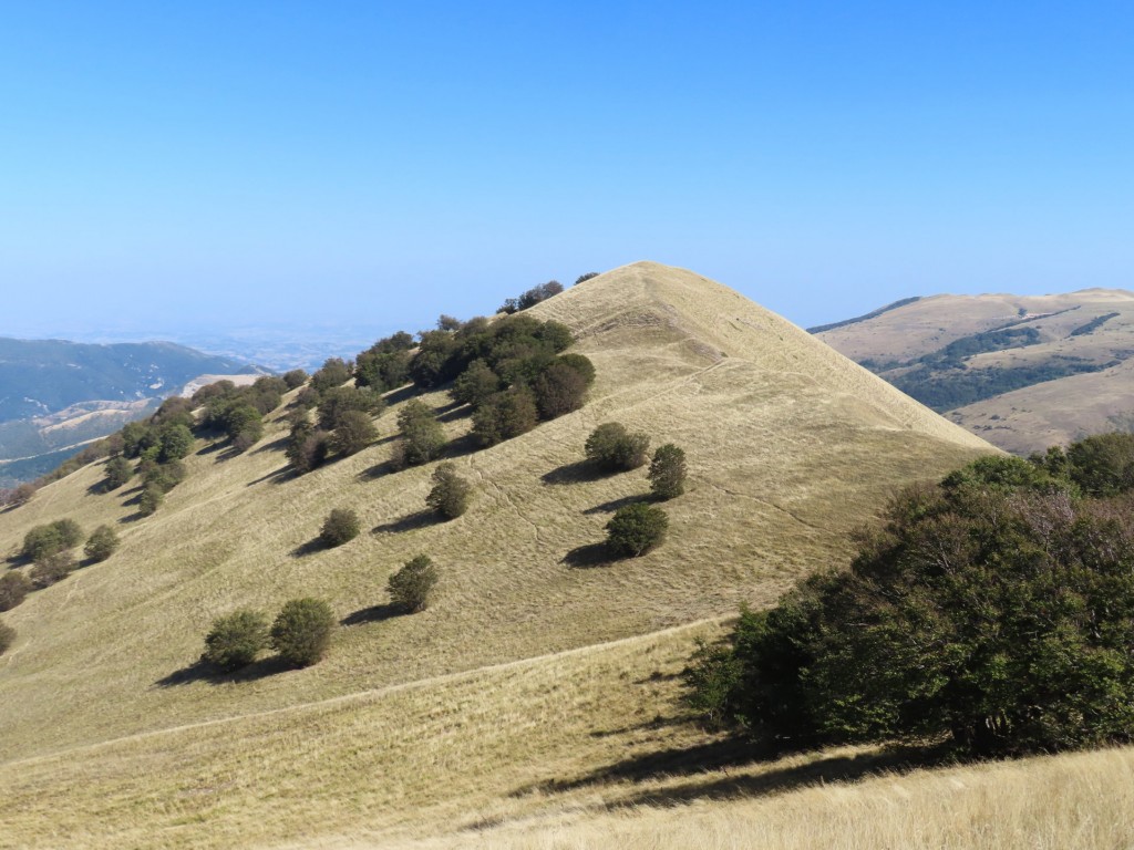 MONTE VAL FIBBIA 14 10 2023 (71)