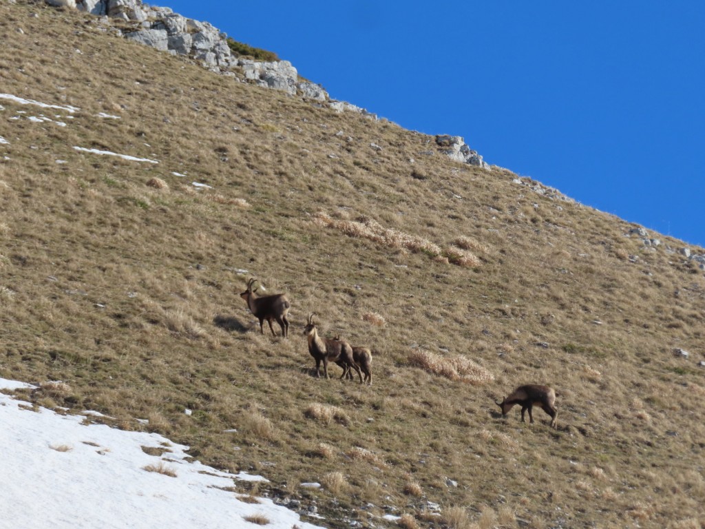 CIMA DI PASSO CATTIVO 28 12 2023 (50)