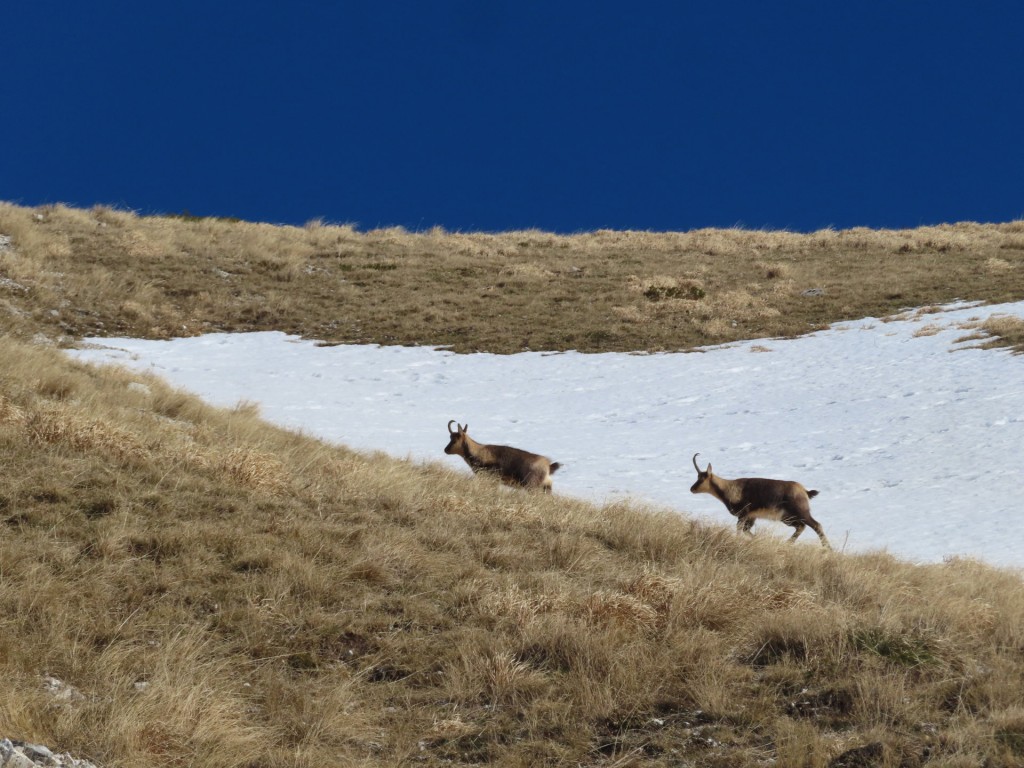 CIMA DI PASSO CATTIVO 28 12 2023 (53)