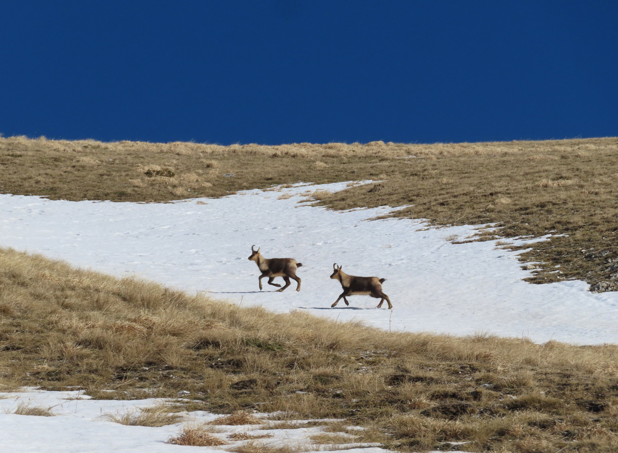 CIMA DI PASSO CATTIVO 28 12 2023 (54)