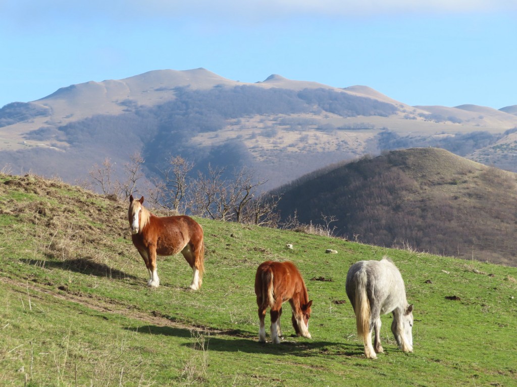 alta valle dell'esino 24 12 2023 (66)