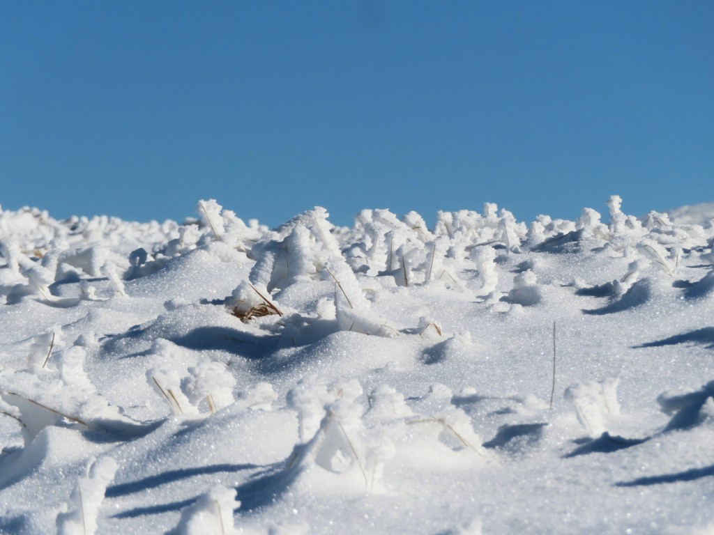 CASTELLUCCIO 2024 01 13 (224)