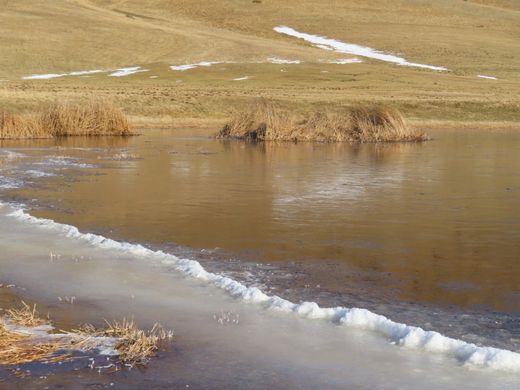 CASTELLUCCIO 2024 01 13 (55)