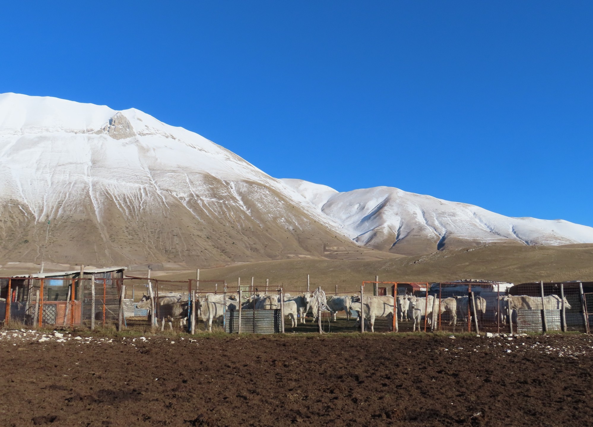 CASTELLUCCIO 2024 01 13 (738)