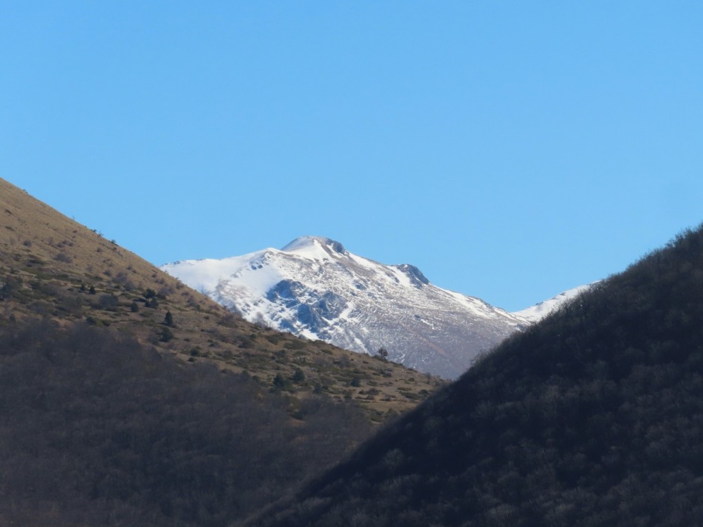 MONTE MORICONE 17 02 2024 (15)