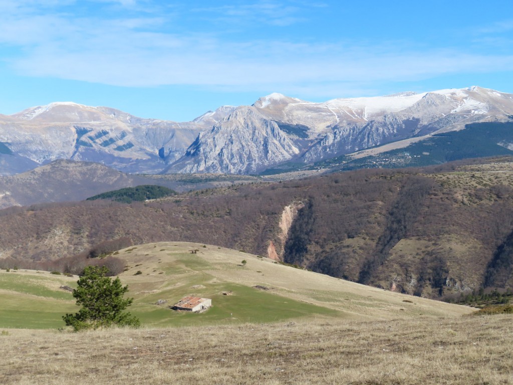 MONTE MORICONE 17 02 2024 (72)