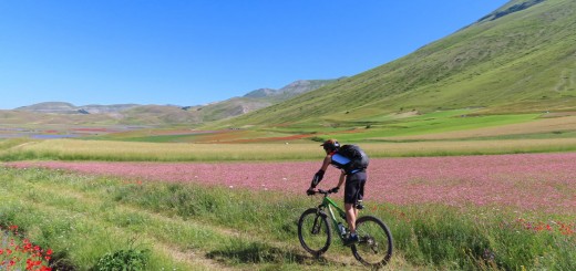 CASTELLUCCIO-11-07-2020-053 cover