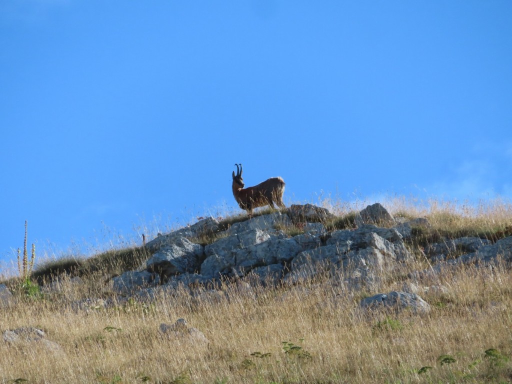 VALLELUNGA SIBILLINI 05 08 2024 (9)