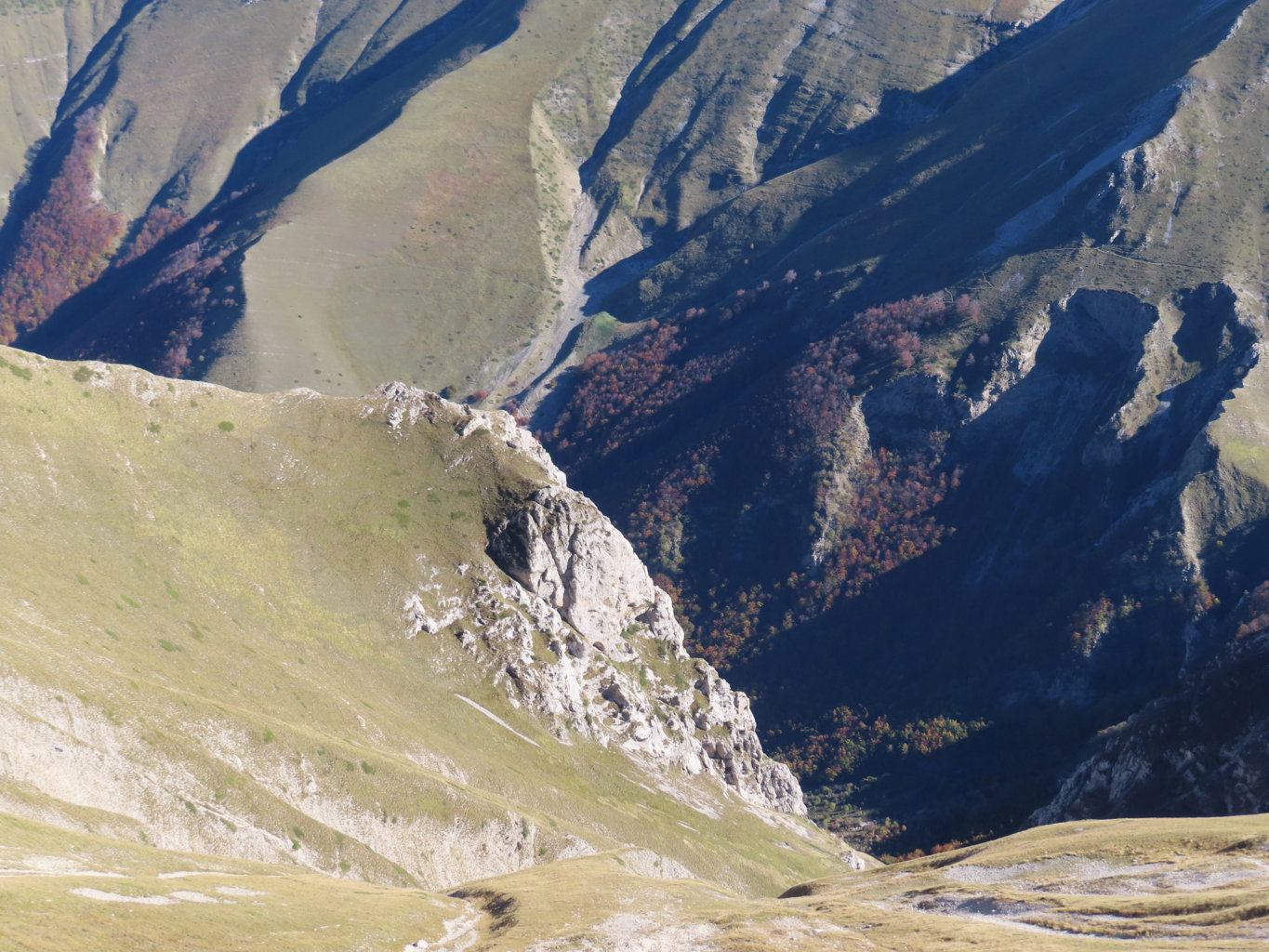 ARGENTELLA 02 11 2024 (128)